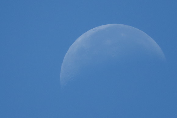 b0093515_23464458.jpg