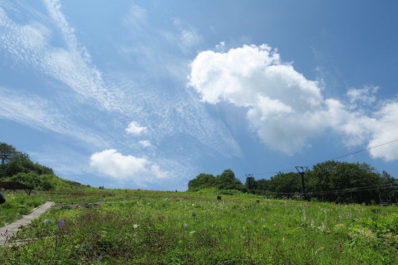 b0093515_2354795.jpg