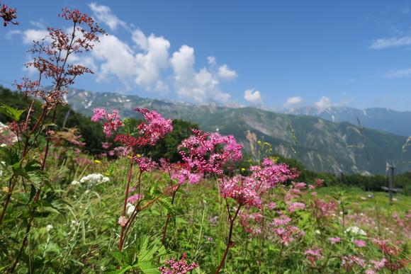 b0093515_23551092.jpg