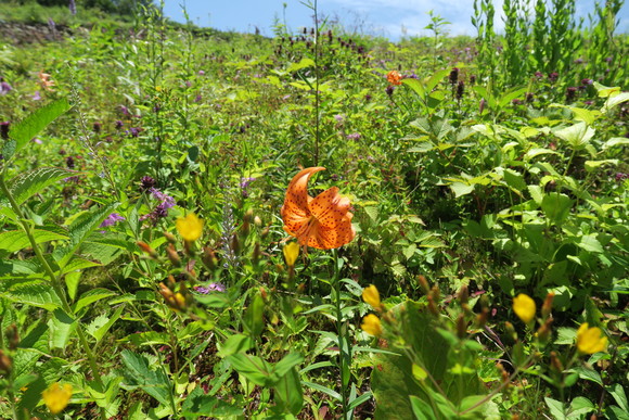 b0093515_23552790.jpg