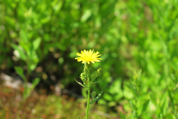 b0093515_2355477.jpg