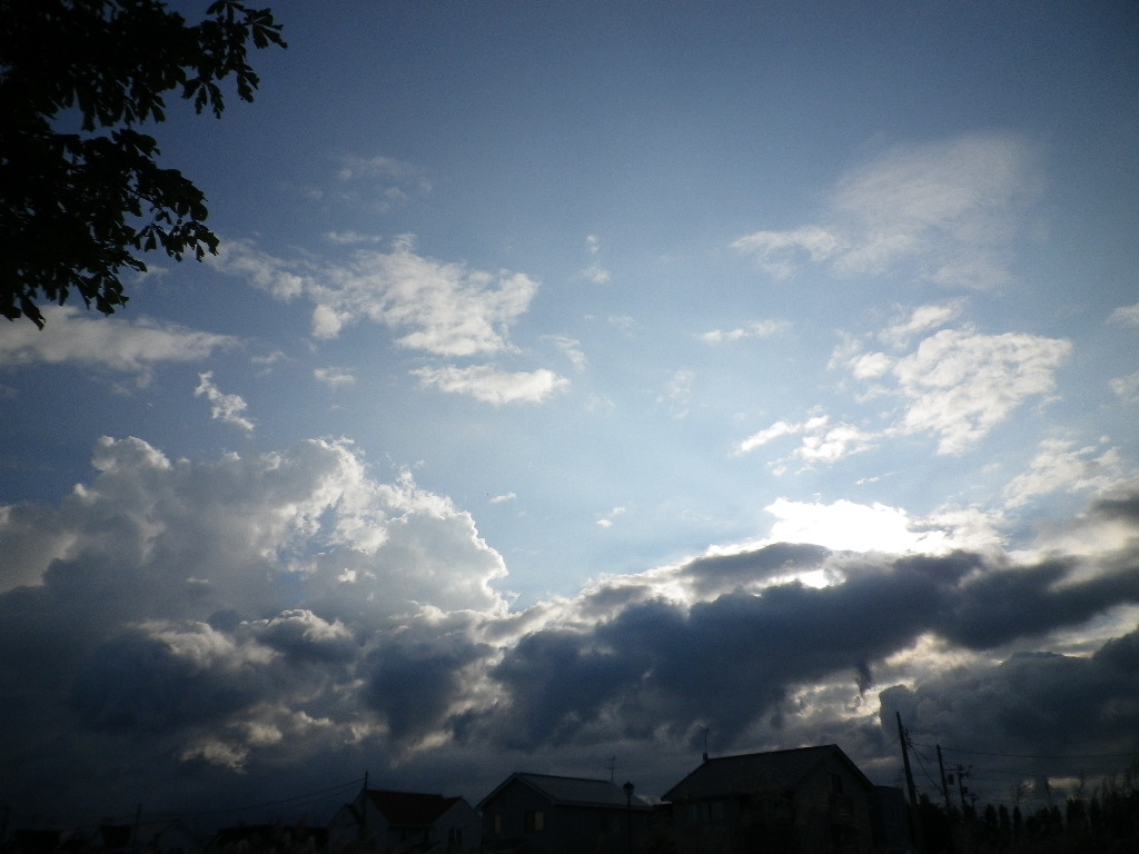 e0052716_1049258.jpg