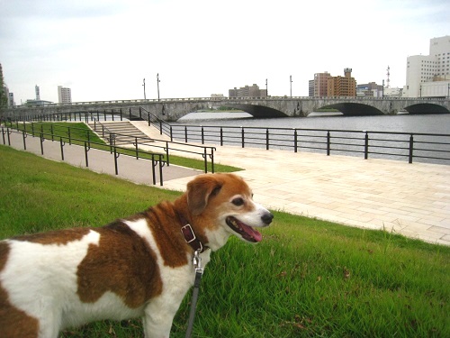 c0084117_20583249.jpg
