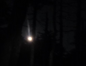 b0191418_20335890.jpg