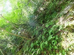 b0191418_21125097.jpg