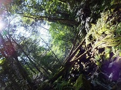 b0191418_21131358.jpg