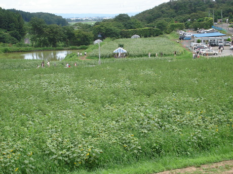 d0250123_2322387.jpg