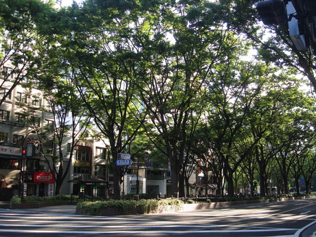 d0250123_23245751.jpg