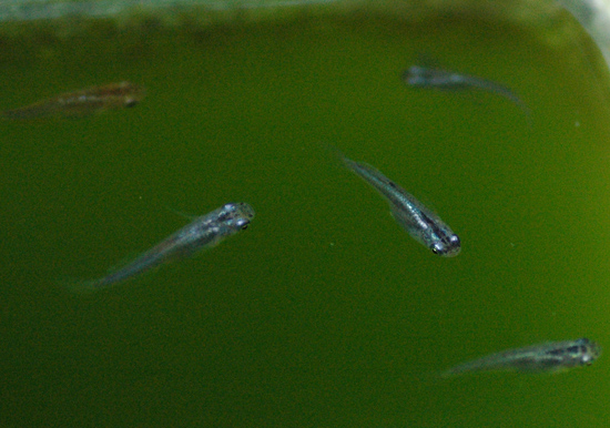 e0097534_18163942.jpg