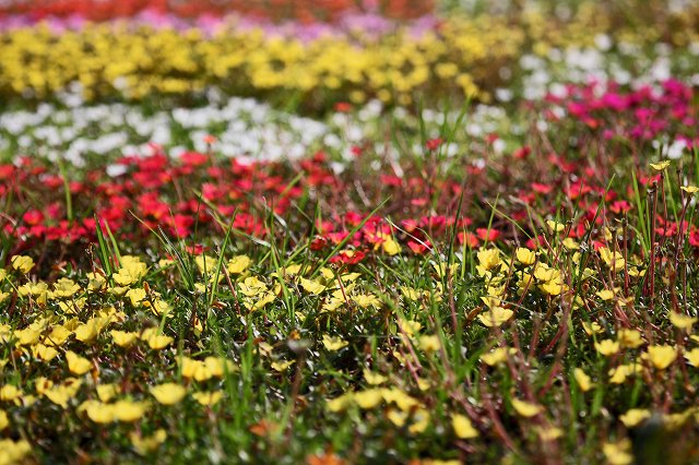a0242438_18371323.jpg