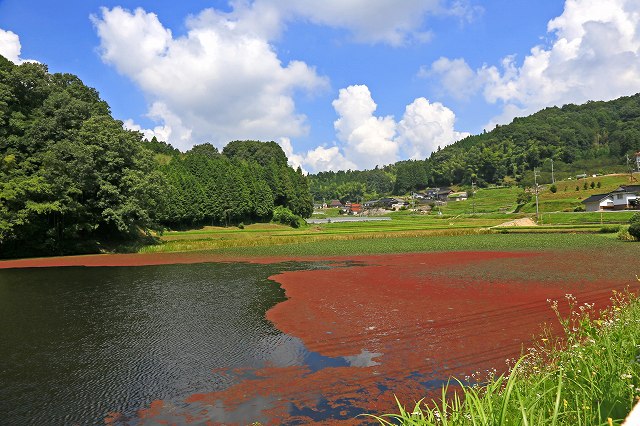 a0242438_18404648.jpg