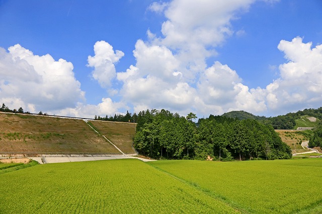 a0242438_18405880.jpg
