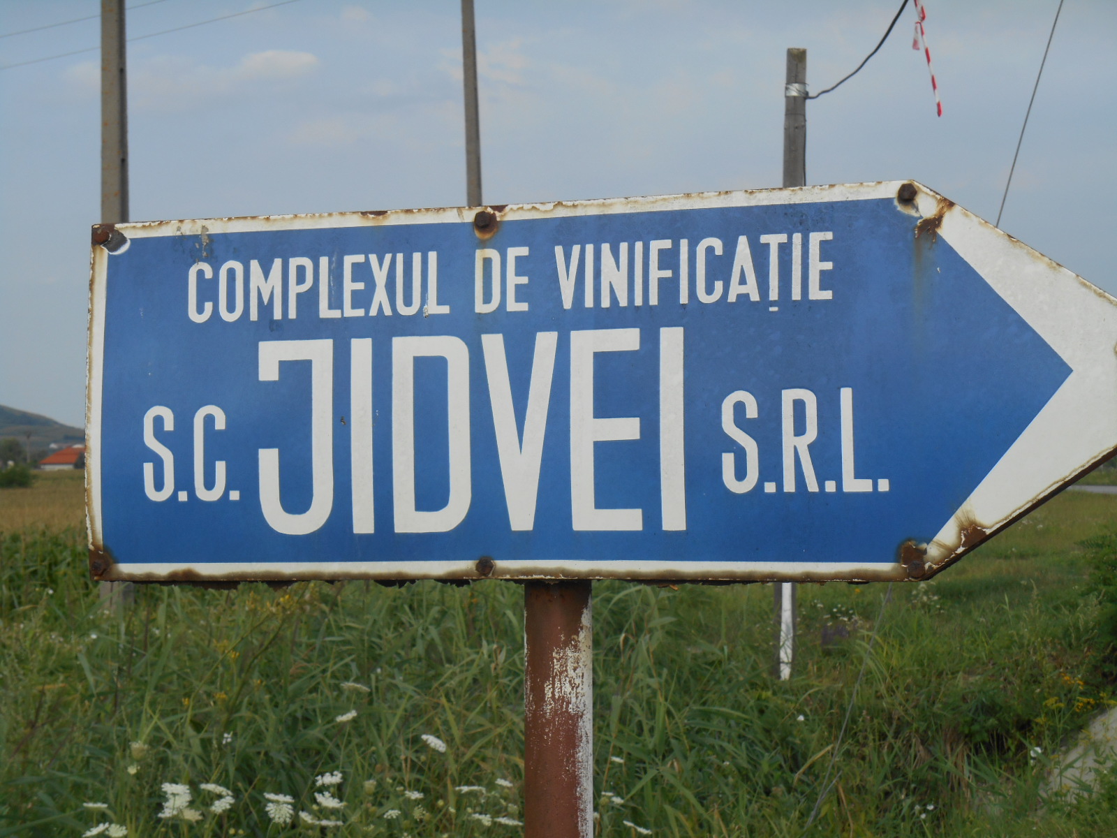e0297347_11513024.jpg
