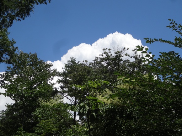 f0198556_142455.jpg