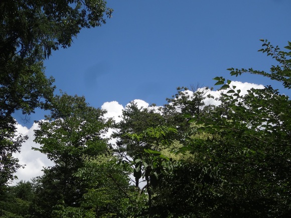 f0198556_143268.jpg