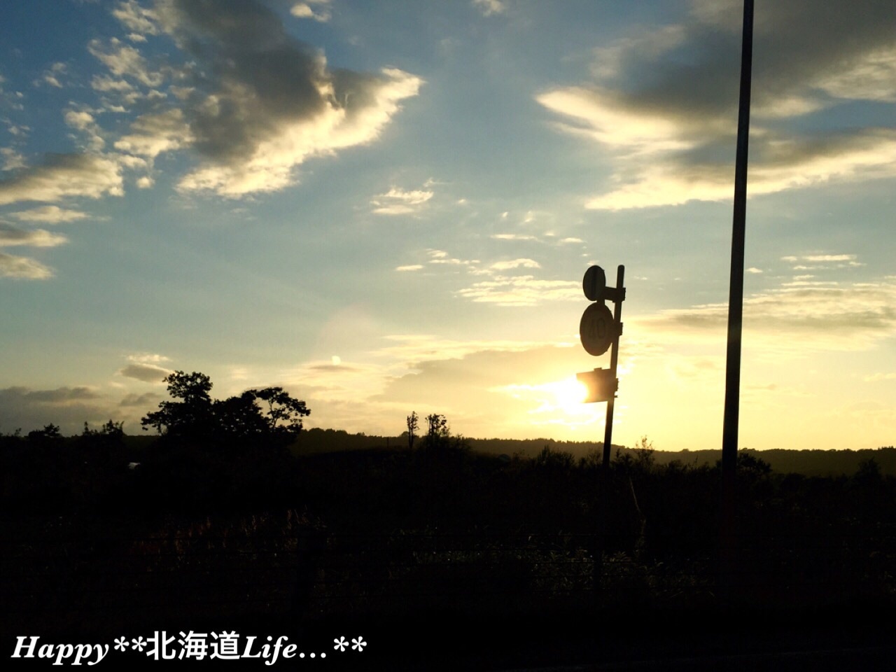 a0337860_14423471.jpg