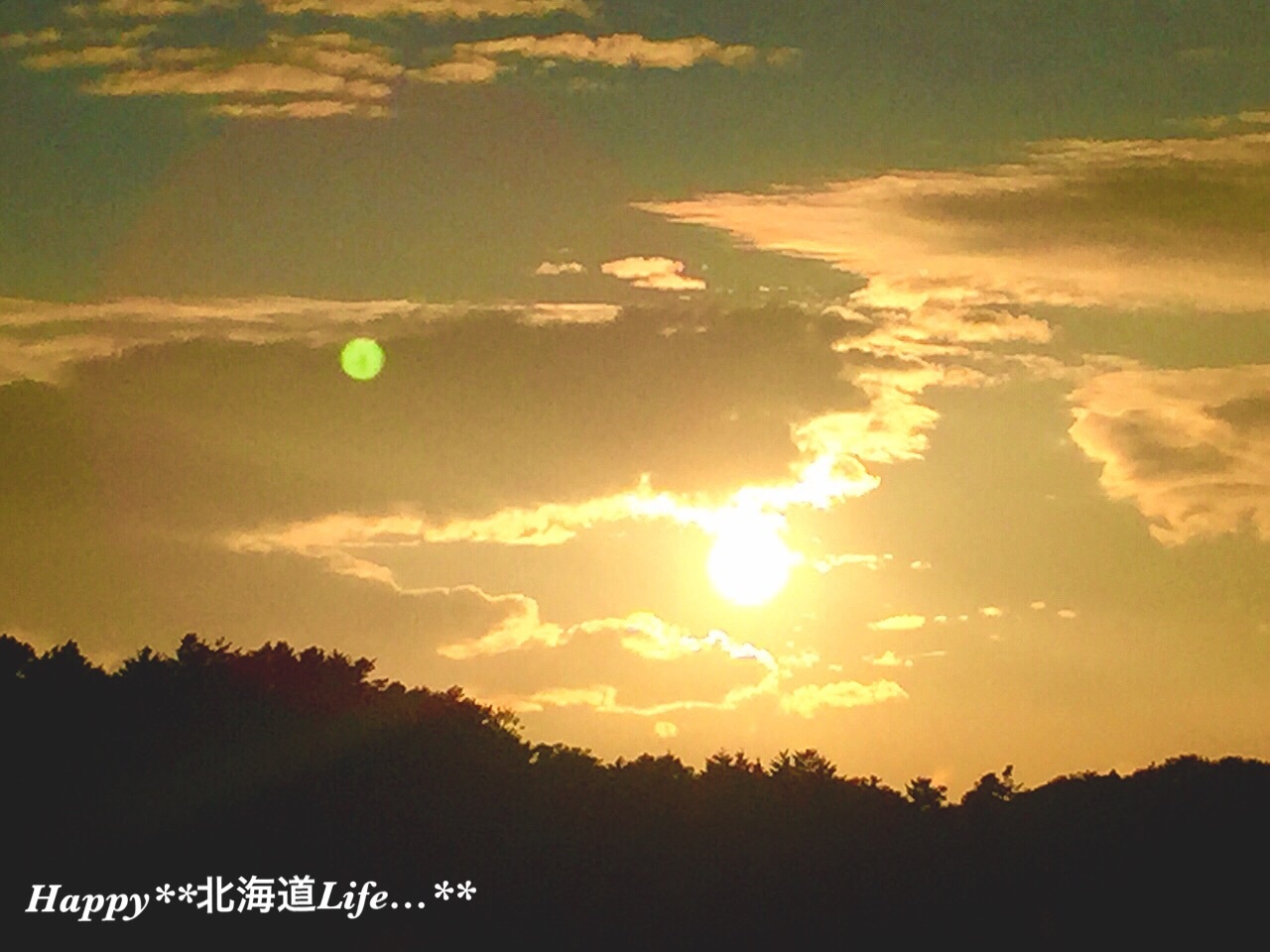 a0337860_14482556.jpg