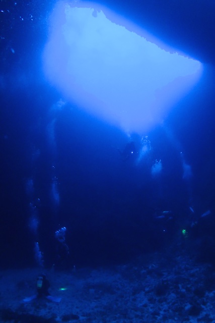 b0062363_17274476.jpg