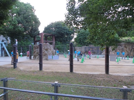 c0122864_20501137.jpg
