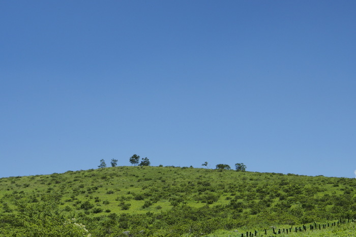 e0307372_13374460.jpg