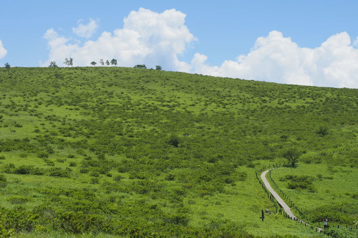 e0307372_13563120.jpg