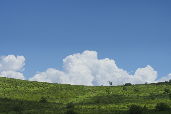 e0307372_14413445.jpg