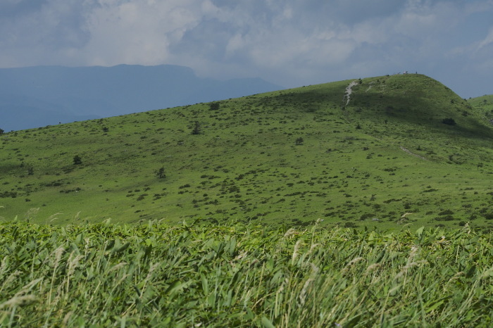 e0307372_14445776.jpg