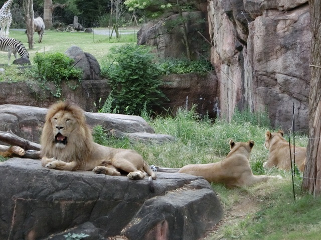 d0147774_22271148.jpg