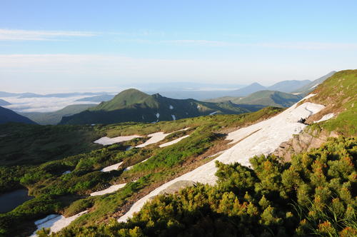 f0130376_6554472.jpg