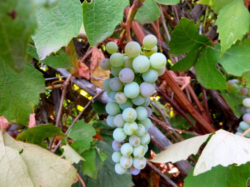 d0260278_13102013.jpg