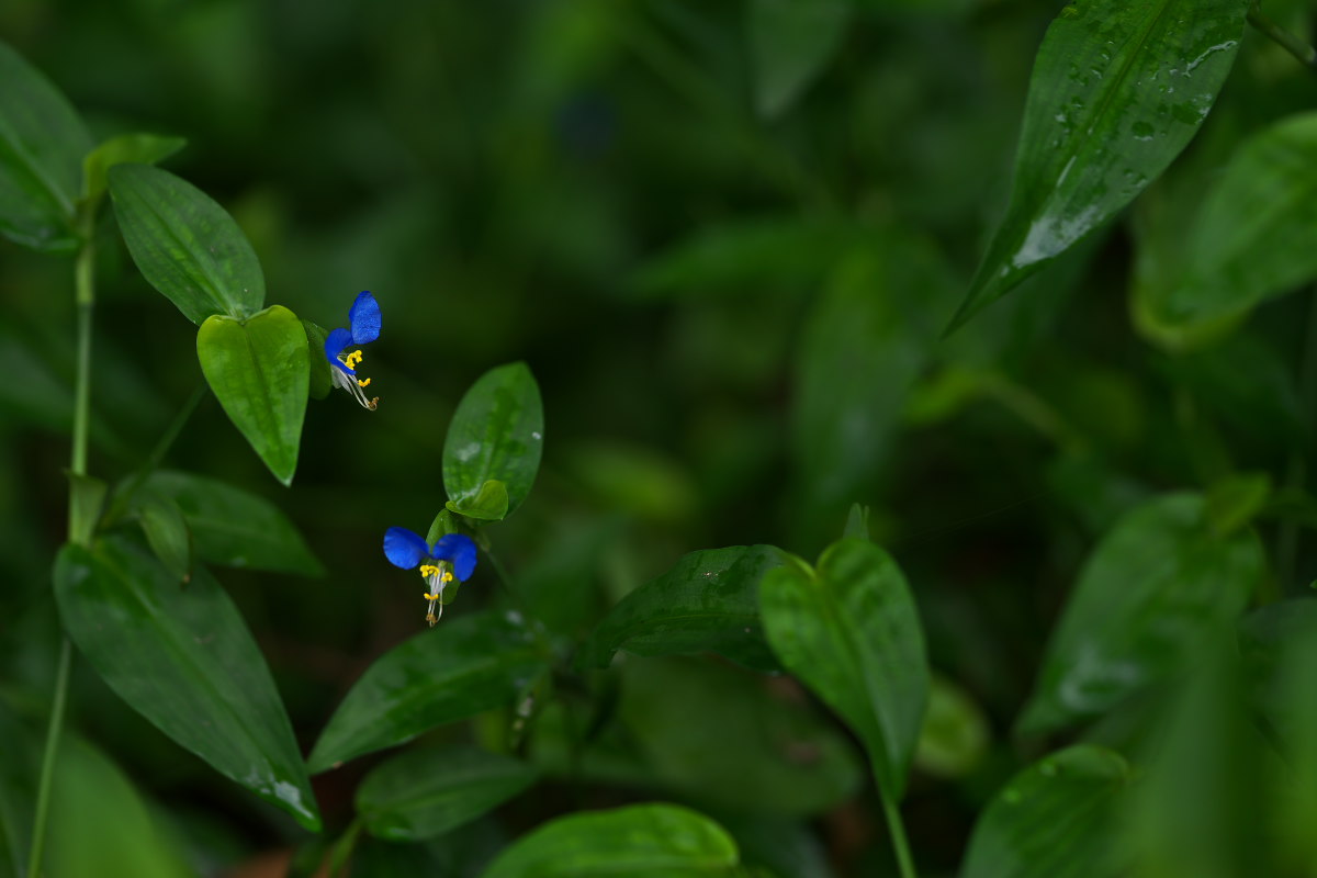a0083081_21285973.jpg