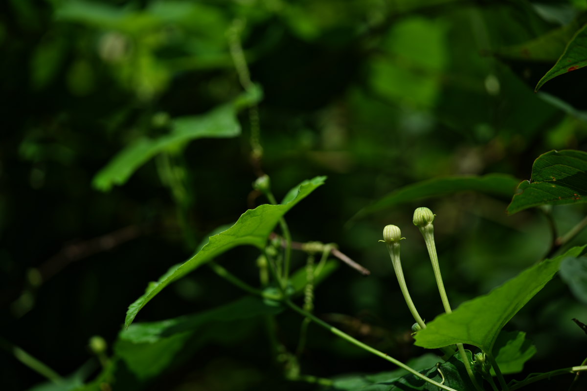 a0083081_21294095.jpg