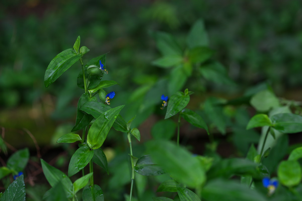 a0083081_2129630.jpg