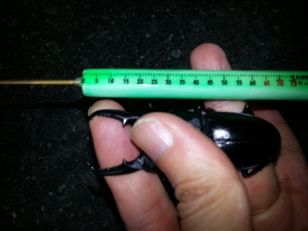 f0183484_19000412.jpg