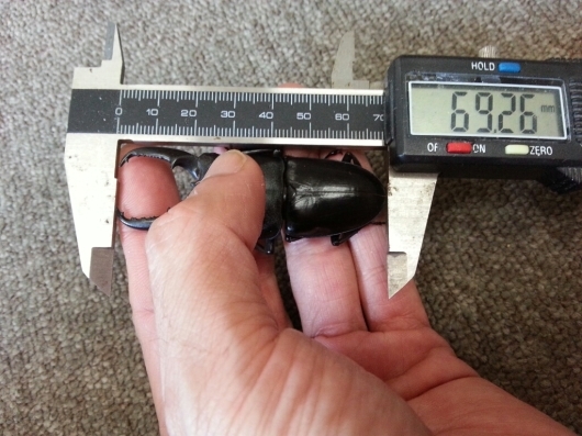 f0183484_19000920.jpg
