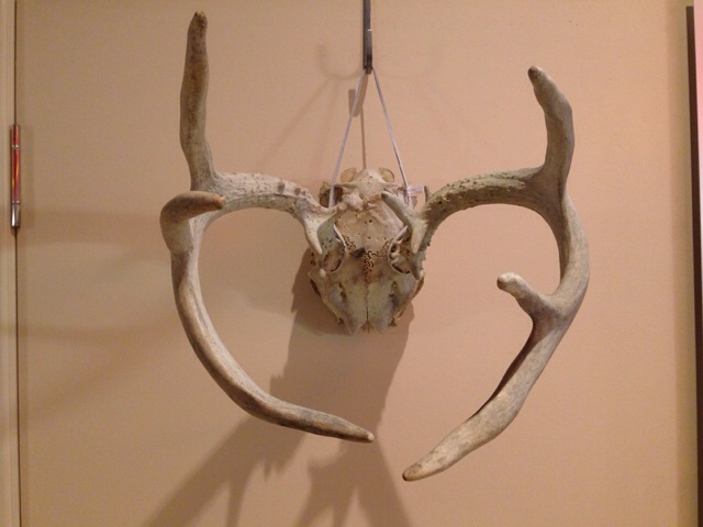 c0078587_1541919.jpg