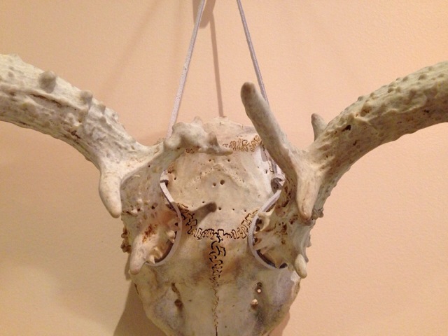 c0078587_1543093.jpg