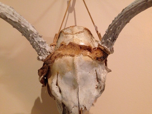 c0078587_15456.jpg