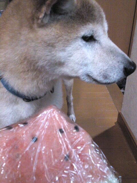 c0123890_23125990.jpg