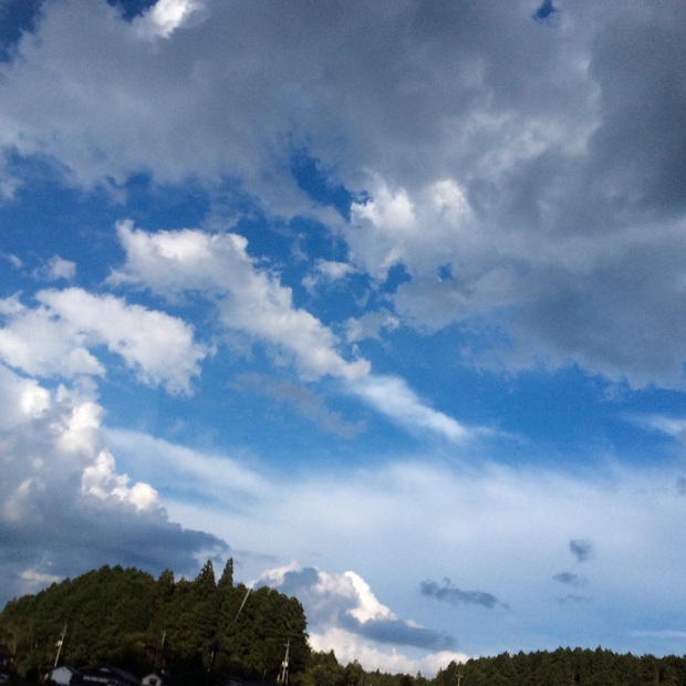 d0333091_17593281.jpg