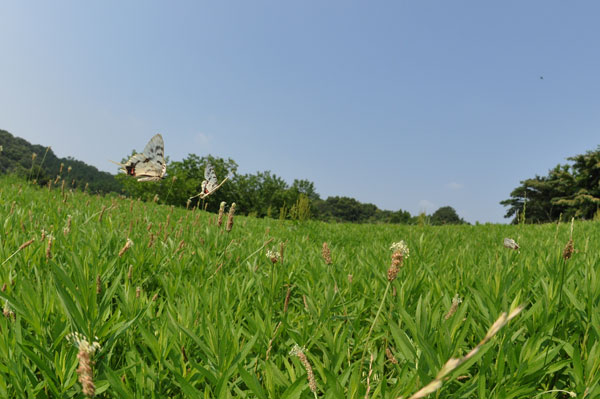 c0049095_233142.jpg
