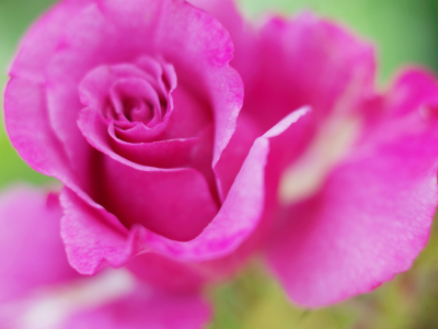 f0201297_924719.jpg