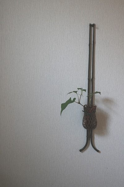 e0082098_19533870.jpg