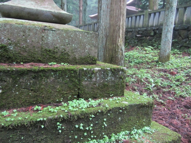 e0033301_236886.jpg