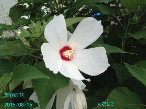 a0337807_19344255.jpg