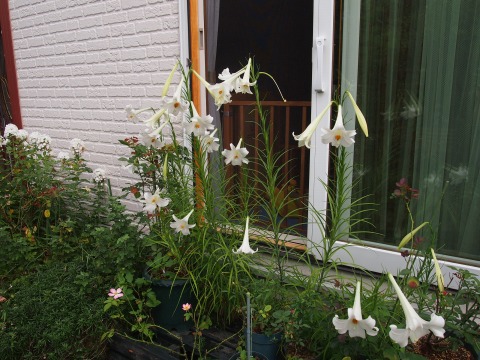 c0117007_10551234.jpg