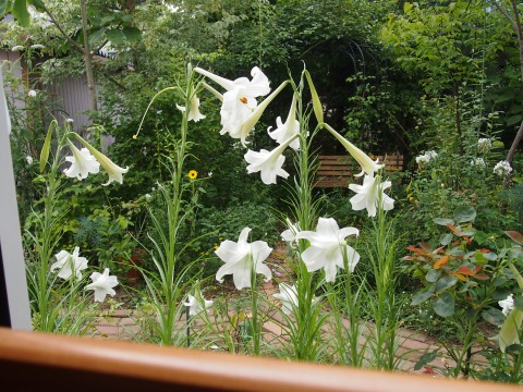 c0117007_10564918.jpg