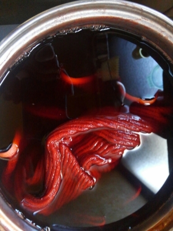 e0272108_15531422.jpg