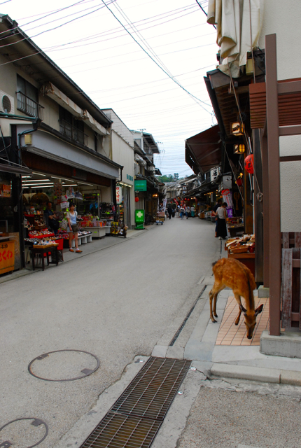 c0150224_7441464.jpg