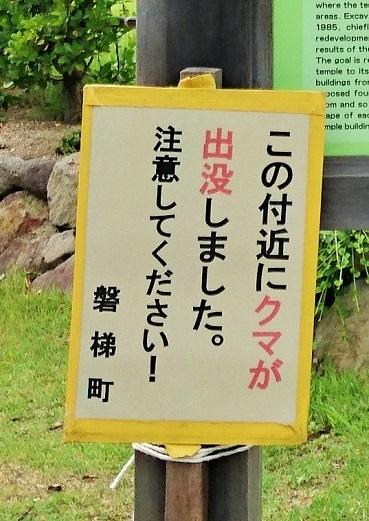 a0011534_13210343.jpg